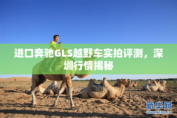 进口奔驰GLS越野车实拍评测，深圳行情揭秘