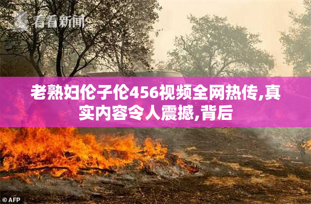 老熟妇伦子伦456视频全网热传,真实内容令人震撼,背后