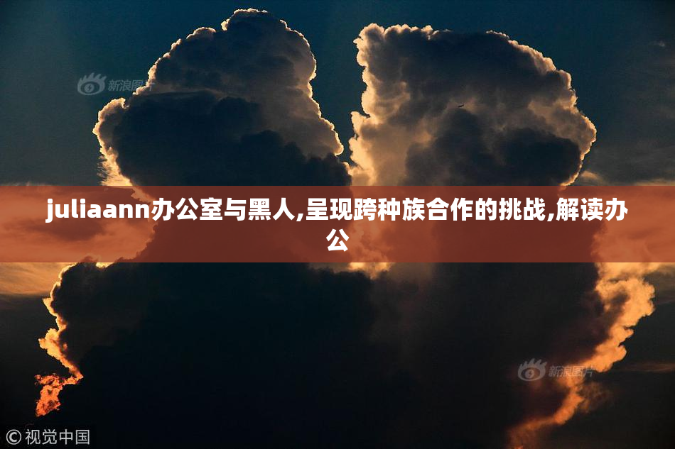 juliaann办公室与黑人,呈现跨种族合作的挑战,解读办公