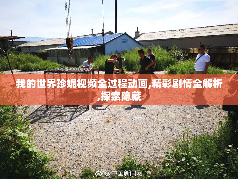 我的世界珍妮视频全过程动画,精彩剧情全解析,探索隐藏