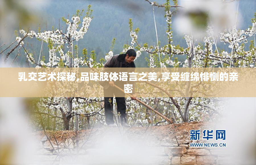 乳交艺术探秘,品味肢体语言之美,享受缠绵悱恻的亲密
