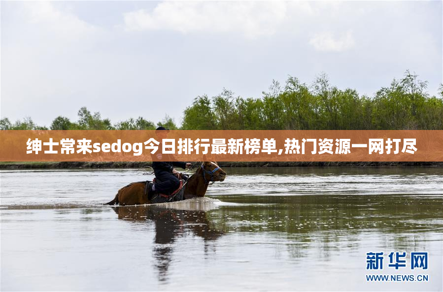 绅士常来sedog今日排行最新榜单,热门资源一网打尽