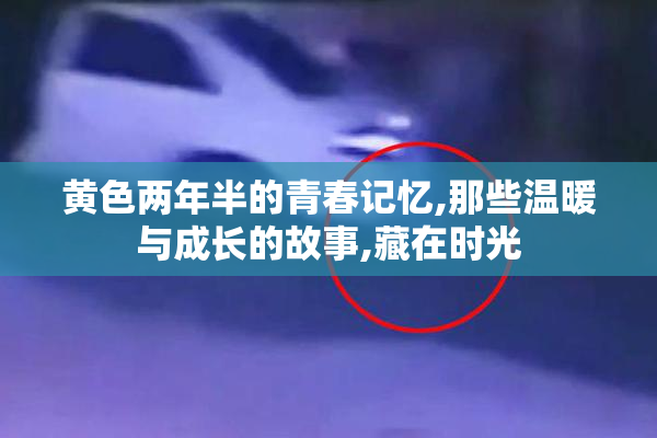 黄色两年半的青春记忆,那些温暖与成长的故事,藏在时光