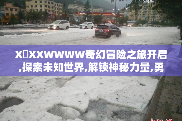 X乂XXWWWW奇幻冒险之旅开启,探索未知世界,解锁神秘力量,勇者集结