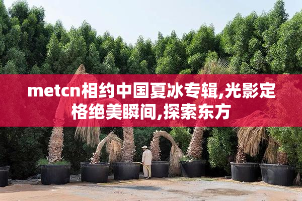 metcn相约中国夏冰专辑,光影定格绝美瞬间,探索东方