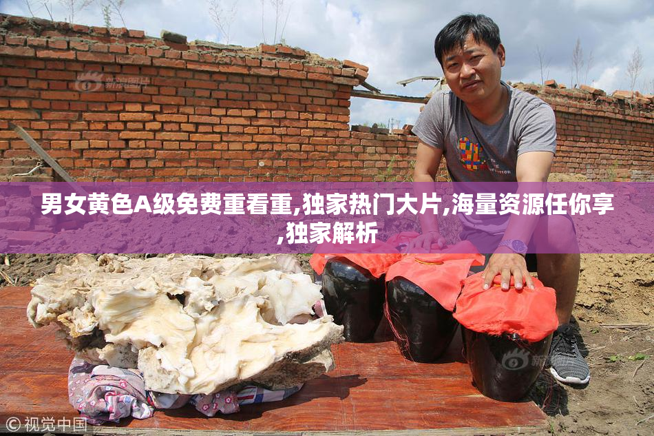 男女黄色A级免费重看重,独家热门大片,海量资源任你享,独家解析