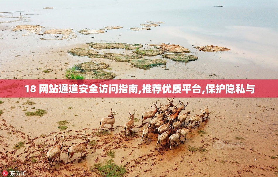 18 网站通道安全访问指南,推荐优质平台,保护隐私与