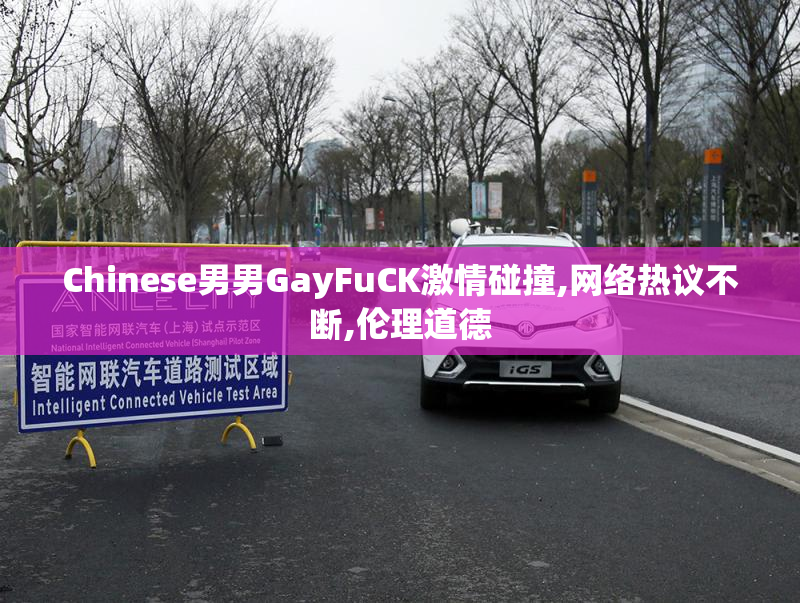 Chinese男男GayFuCK激情碰撞,网络热议不断,伦理道德