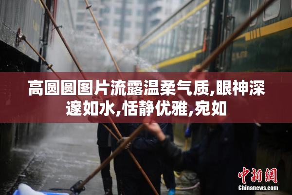 高圆圆图片流露温柔气质,眼神深邃如水,恬静优雅,宛如