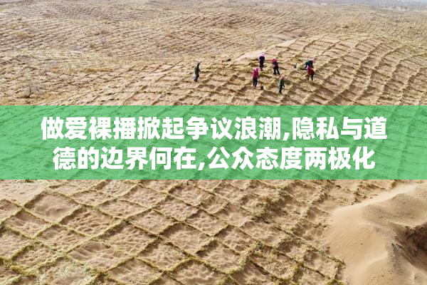 做爱裸播掀起争议浪潮,隐私与道德的边界何在,公众态度两极化