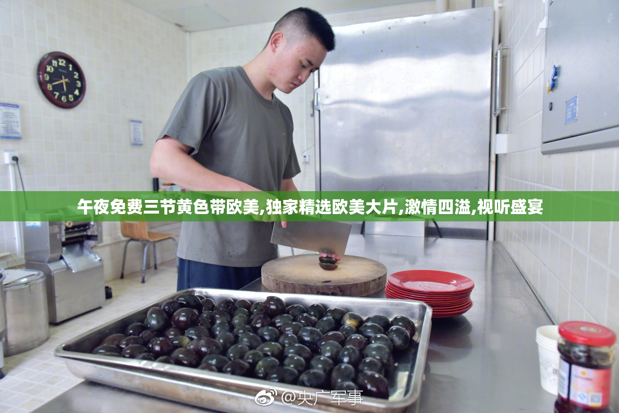 午夜免费三节黄色带欧美,独家精选欧美大片,激情四溢,视听盛宴