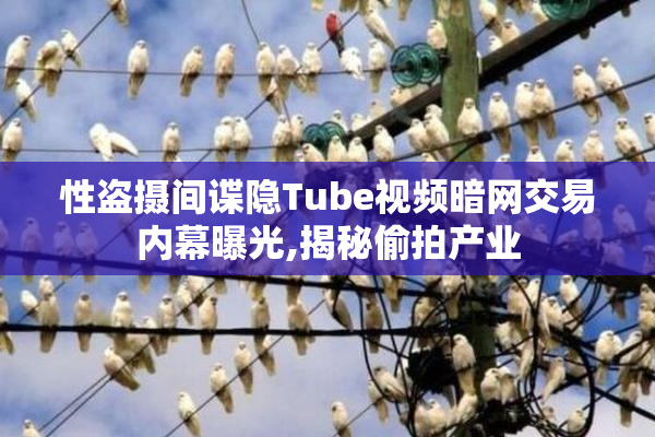 性盗摄间谍隐Tube视频暗网交易内幕曝光,揭秘偷拍产业