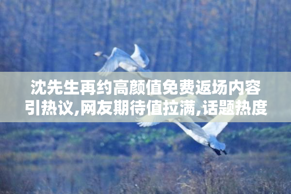 沈先生再约高颜值免费返场内容引热议,网友期待值拉满,话题热度