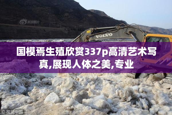 国模焉生殖欣赏337p高清艺术写真,展现人体之美,专业