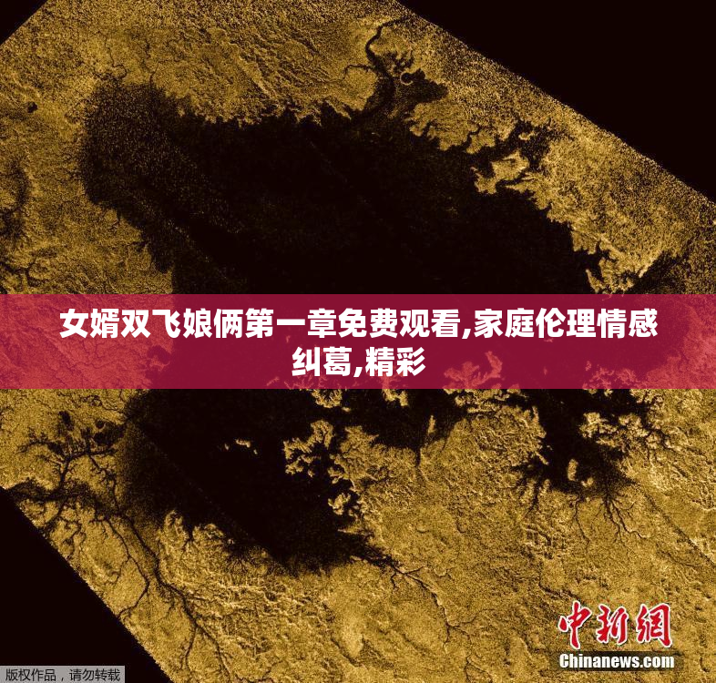 女婿双飞娘俩第一章免费观看,家庭伦理情感纠葛,精彩