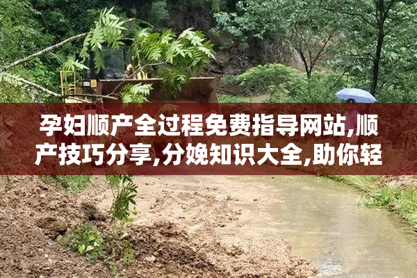 孕妇顺产全过程免费指导网站,顺产技巧分享,分娩知识大全,助你轻松