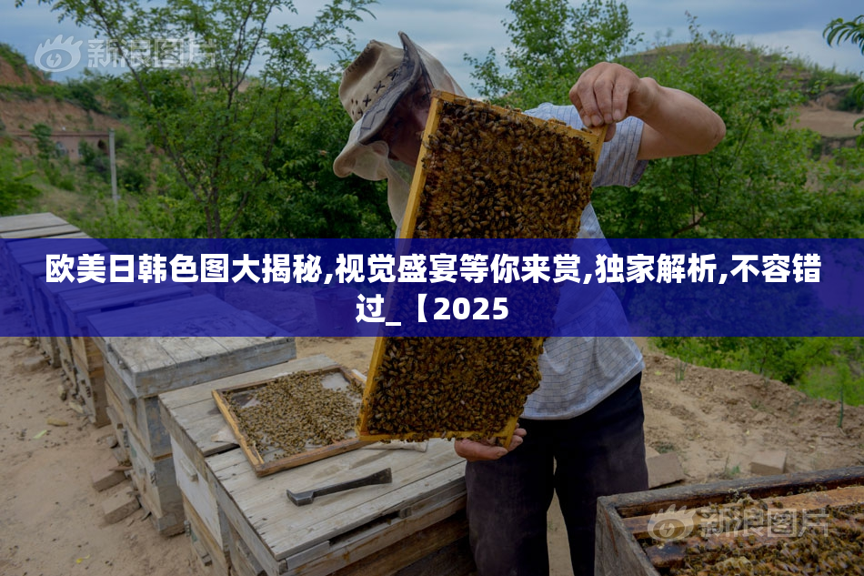 欧美日韩色图大揭秘,视觉盛宴等你来赏,独家解析,不容错过_【2025