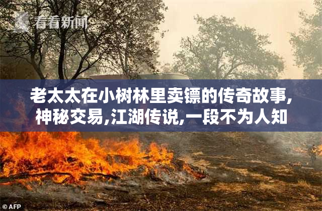 老太太在小树林里卖镖的传奇故事,神秘交易,江湖传说,一段不为人知