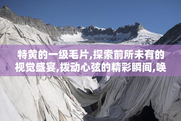 特黄的一级毛片,探索前所未有的视觉盛宴,拨动心弦的精彩瞬间,唤醒