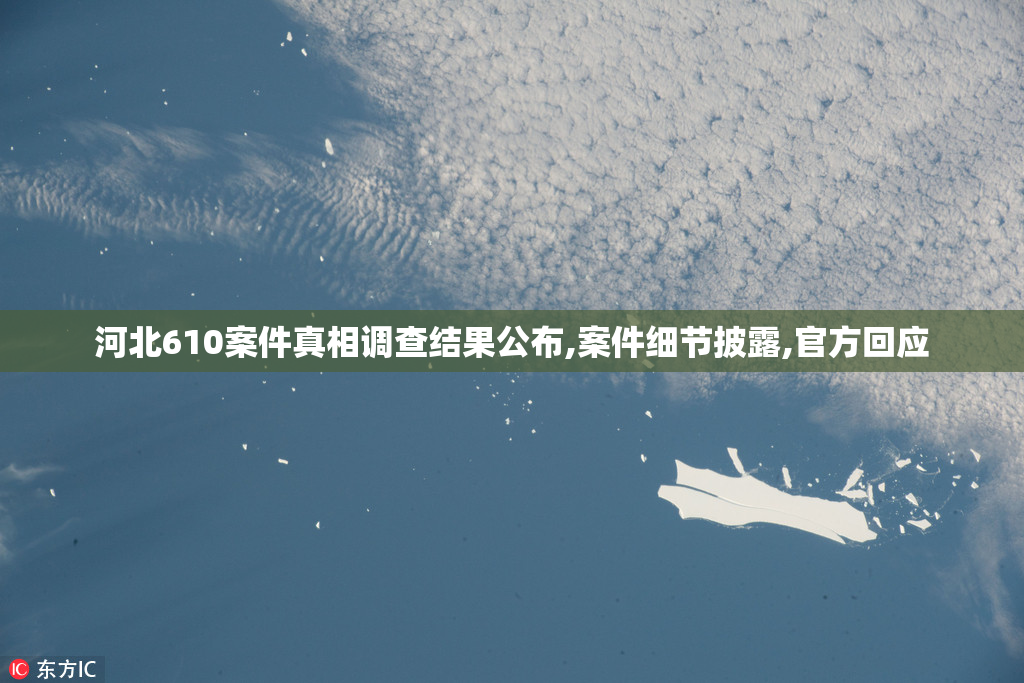 河北610案件真相调查结果公布,案件细节披露,官方回应