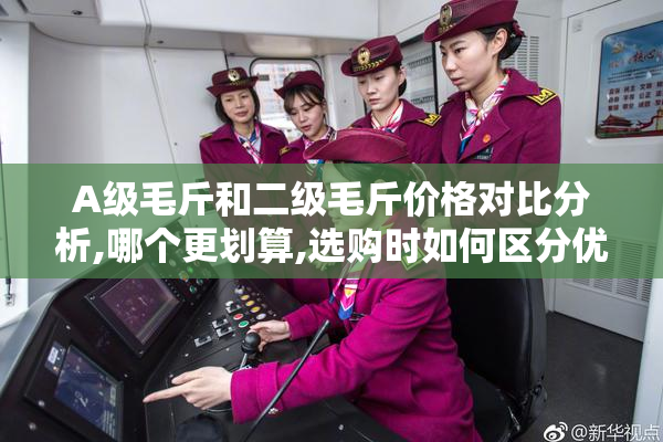 A级毛斤和二级毛斤价格对比分析,哪个更划算,选购时如何区分优劣