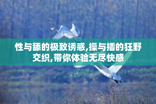 性与舔的极致诱惑,操与插的狂野交织,带你体验无尽快感