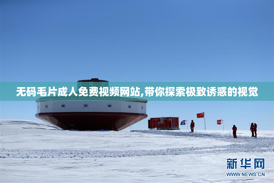 无码毛片成人免费视频网站,带你探索极致诱惑的视觉