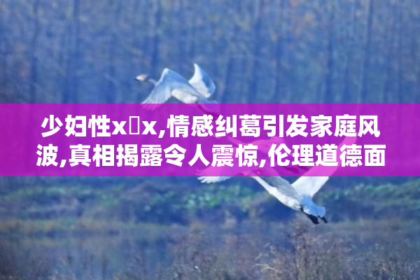 少妇性x乄x,情感纠葛引发家庭风波,真相揭露令人震惊,伦理道德面临