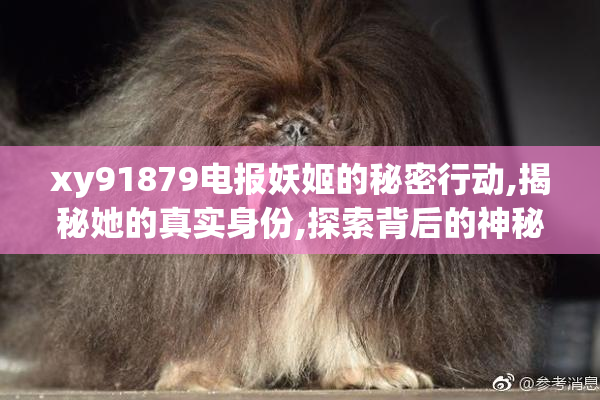 xy91879电报妖姬的秘密行动,揭秘她的真实身份,探索背后的神秘任务
