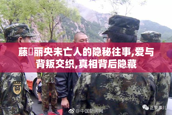 藤沢丽央未亡人的隐秘往事,爱与背叛交织,真相背后隐藏