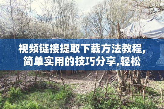 视频链接提取下载方法教程,简单实用的技巧分享,轻松