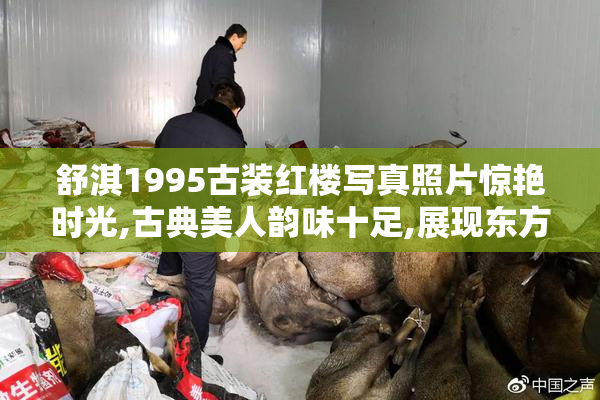 舒淇1995古装红楼写真照片惊艳时光,古典美人韵味十足,展现东方