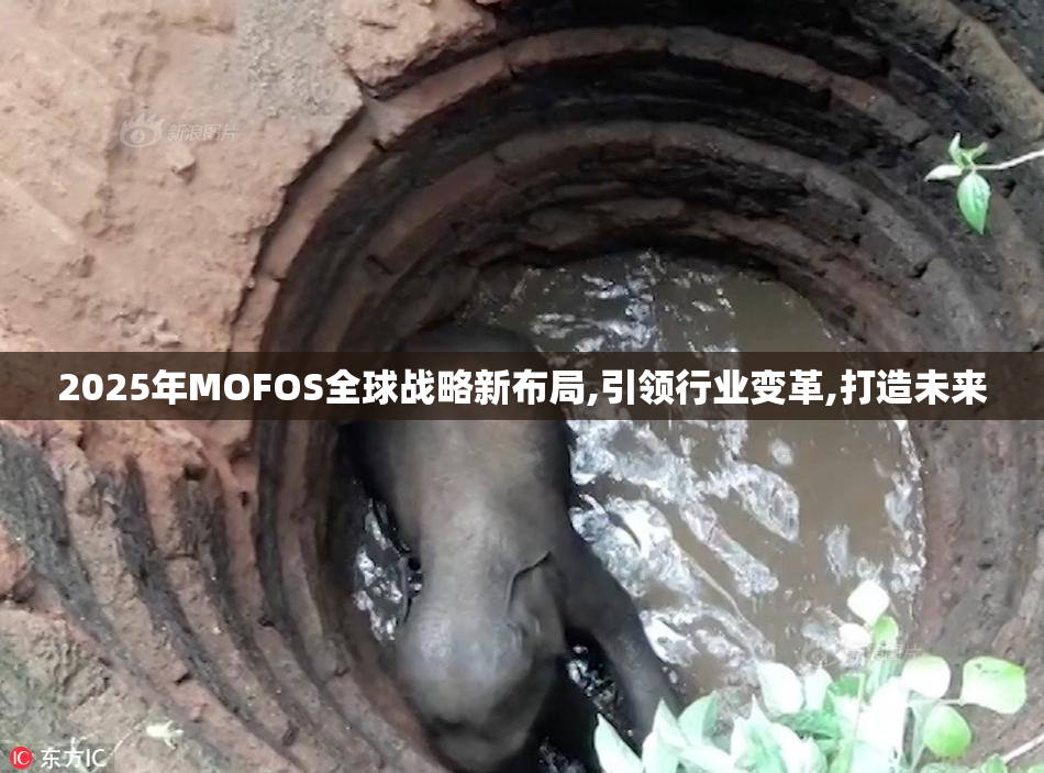 2025年MOFOS全球战略新布局,引领行业变革,打造未来