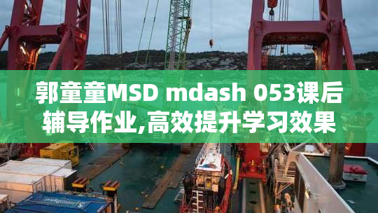 郭童童MSD mdash 053课后辅导作业,高效提升学习效果,助力