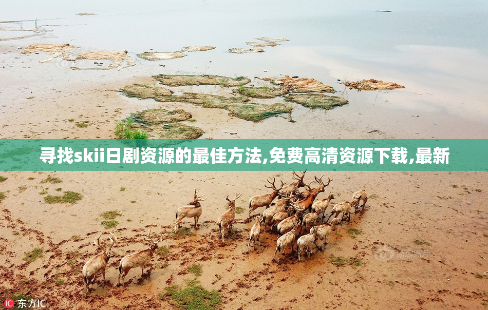 寻找skii日剧资源的最佳方法,免费高清资源下载,最新