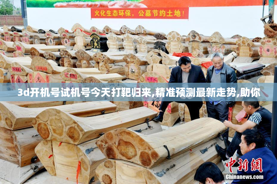 3d开机号试机号今天打靶归来,精准预测最新走势,助你