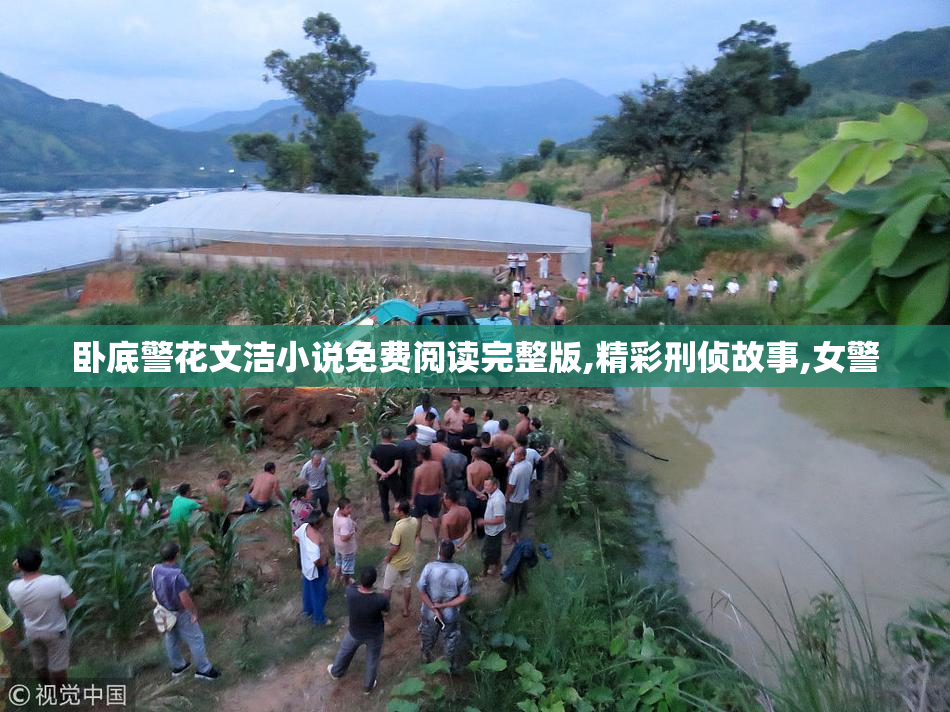 卧底警花文洁小说免费阅读完整版,精彩刑侦故事,女警