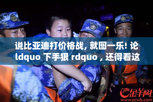 说比亚迪打价格战, 就图一乐! 论 ldquo 下手狠 rdquo , 还得看这