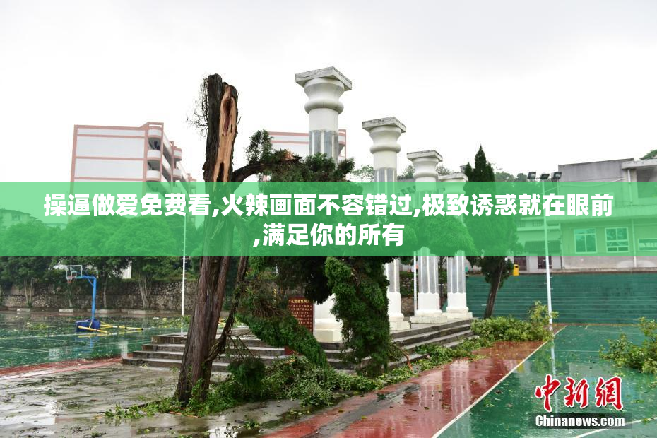 操逼做爱免费看,火辣画面不容错过,极致诱惑就在眼前,满足你的所有