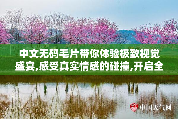 中文无码毛片带你体验极致视觉盛宴,感受真实情感的碰撞,开启全新