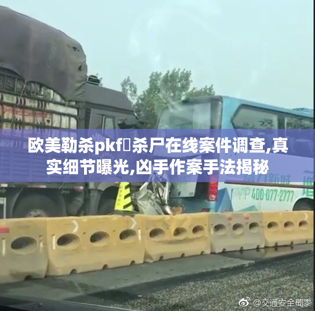 欧美勒杀pkf奷杀尸在线案件调查,真实细节曝光,凶手作案手法揭秘