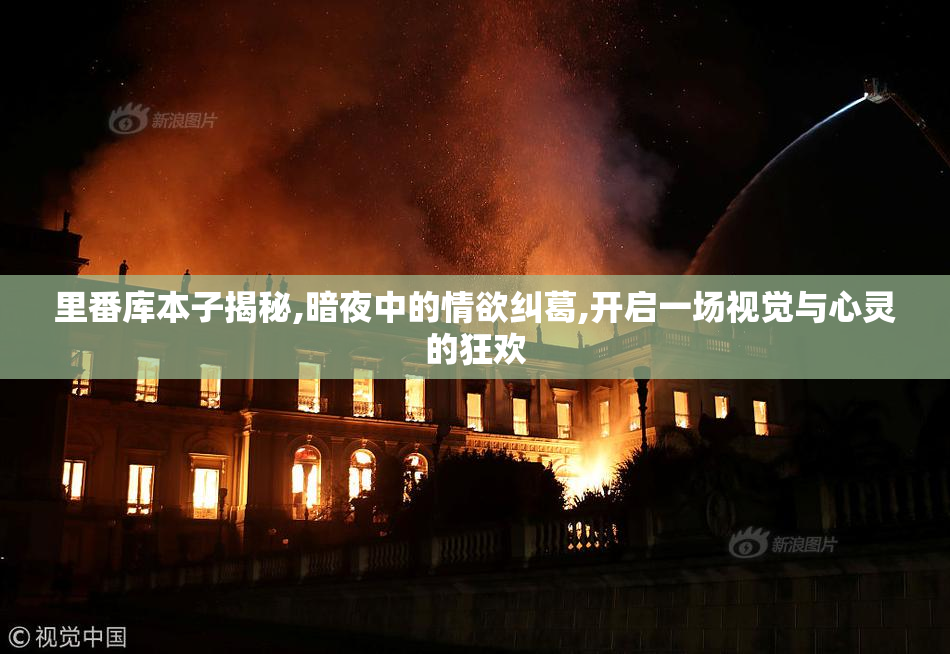 里番库本子揭秘,暗夜中的情欲纠葛,开启一场视觉与心灵的狂欢