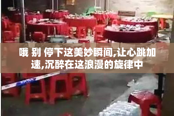 哦 别 停下这美妙瞬间,让心跳加速,沉醉在这浪漫的旋律中