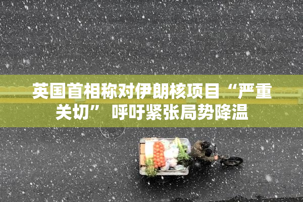 英国首相称对伊朗核项目“严重关切” 呼吁紧张局势降温