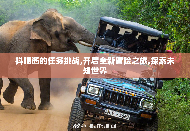 抖喵酱的任务挑战,开启全新冒险之旅,探索未知世界