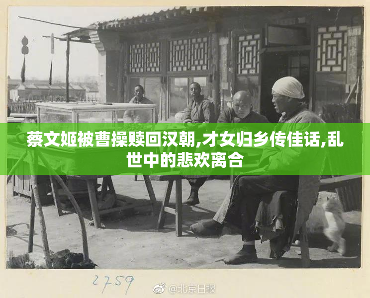蔡文姬被曹操赎回汉朝,才女归乡传佳话,乱世中的悲欢离合