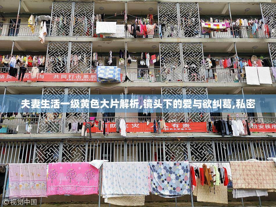 夫妻生活一级黄色大片解析,镜头下的爱与欲纠葛,私密