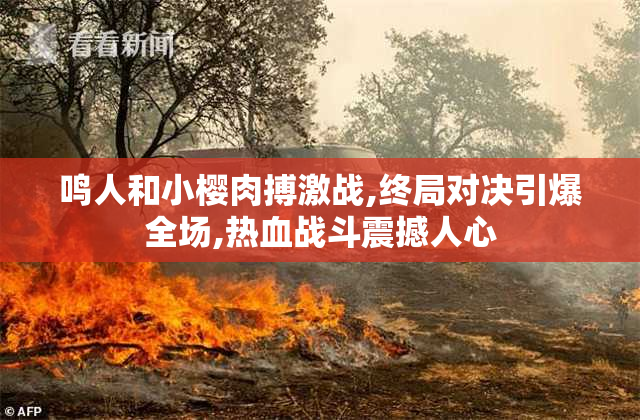 鸣人和小樱肉搏激战,终局对决引爆全场,热血战斗震撼人心
