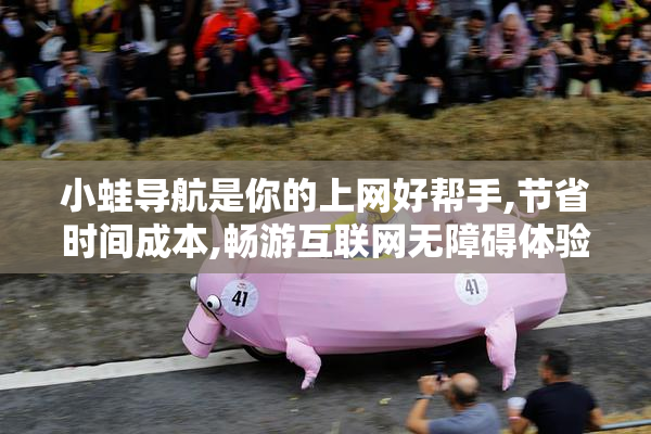 小蛙导航是你的上网好帮手,节省时间成本,畅游互联网无障碍体验