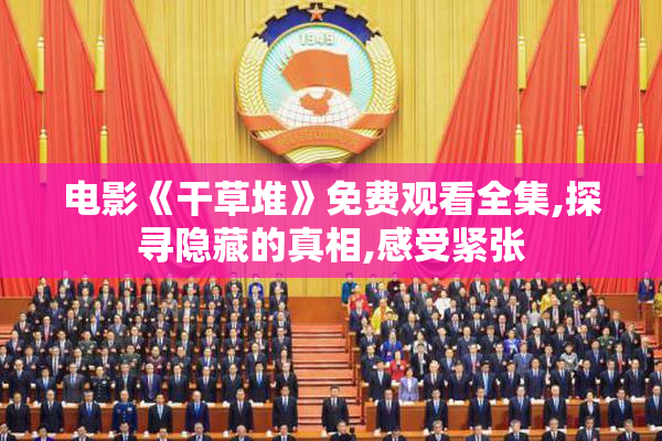 电影《干草堆》免费观看全集,探寻隐藏的真相,感受紧张